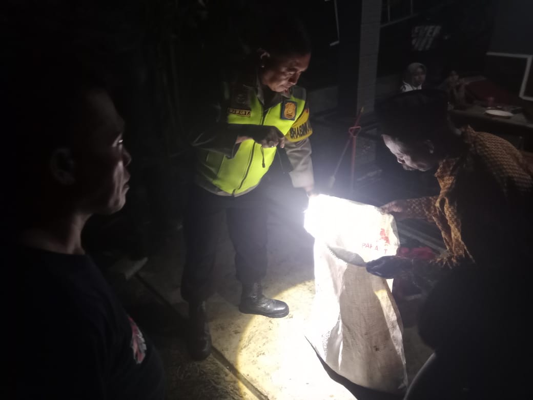 Tawon Vespa Membahayakan Warga Kedungpring, Polsek Kemranjen Polresta Banyumas Bersama Damkar Bergerak Cepat