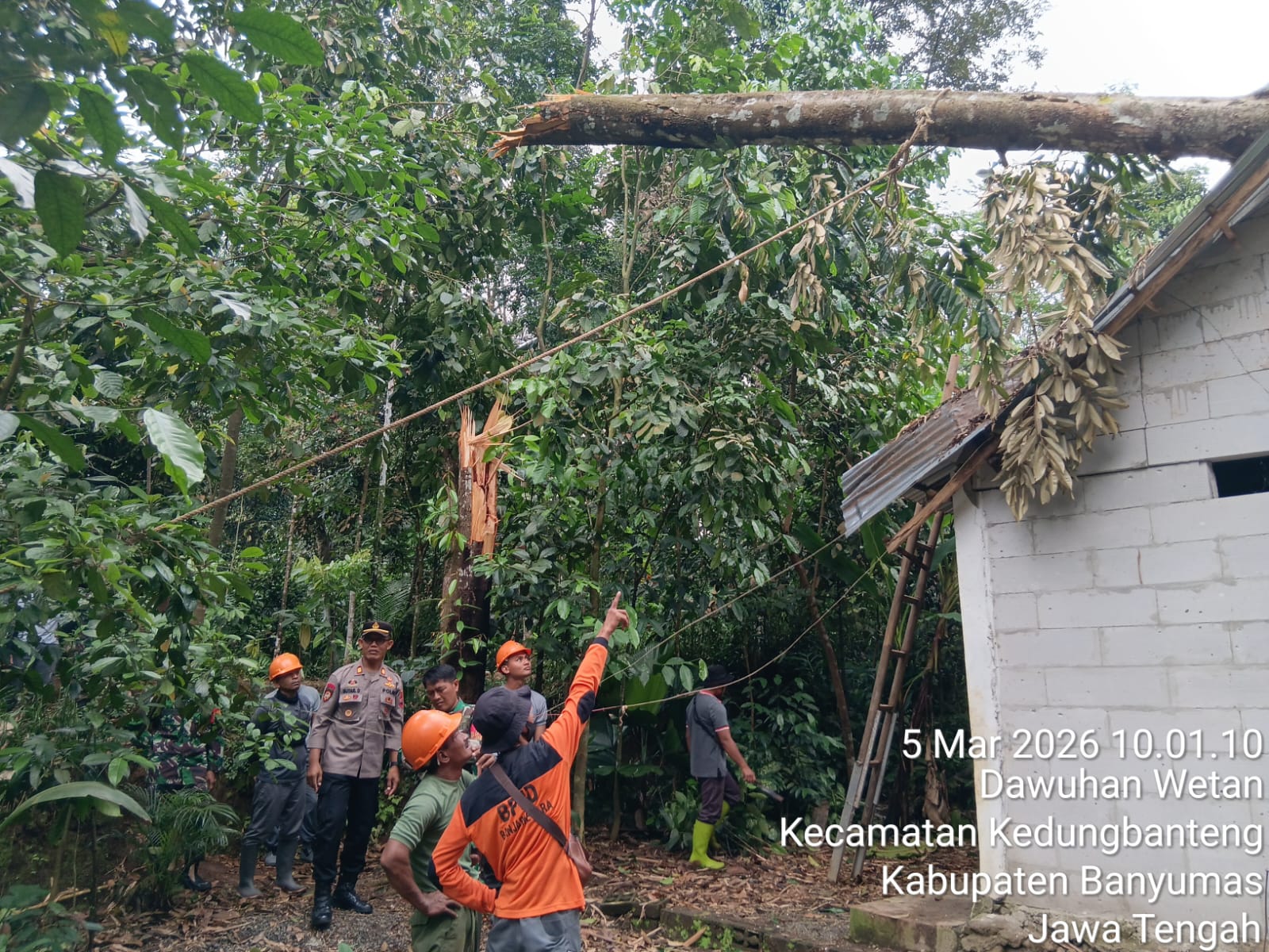 Pohon Tumbang Timpa Rumah, Polsek Kedungbanteng Polresta Banyumas Lakukan Evakuasi Cepat