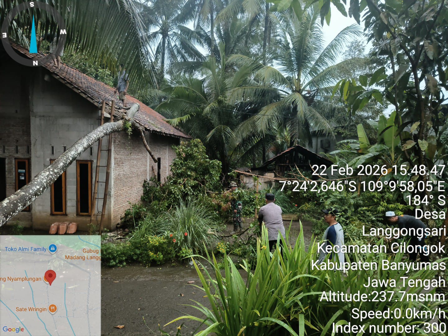 Pohon Jengkol Tumbang Akibat Puting Beliung, Polsek Cilongok Polresta Banyumas Merespon Cepat Lakukan Evakuasi