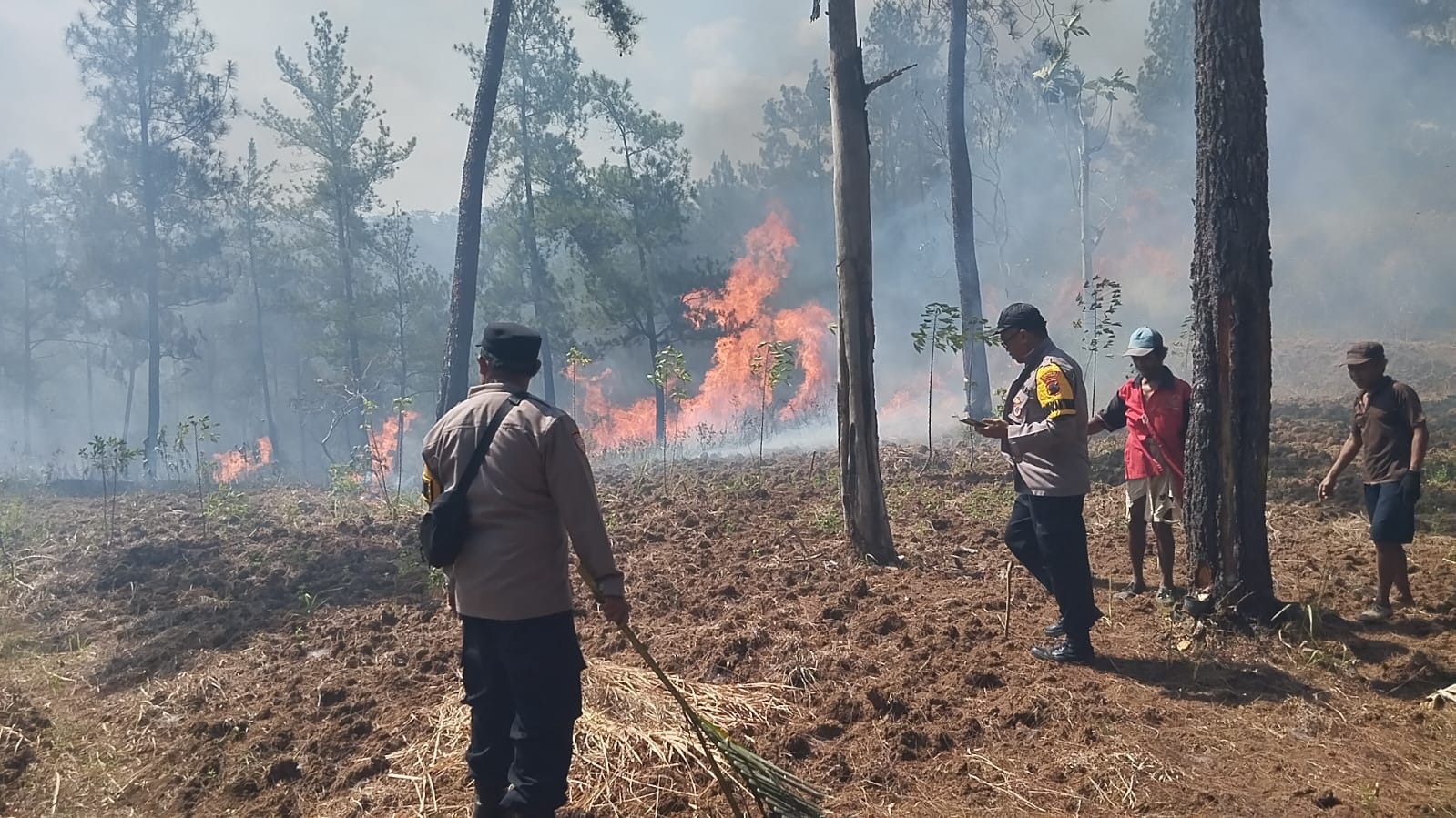 Polisi, TNI, BPBD Hingga Warga Bersatu Padamkan Api di Hutan Jampes Cilongok Banyumas